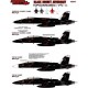 1/48 093: F/A-18E/F Black Hornet Adversary
